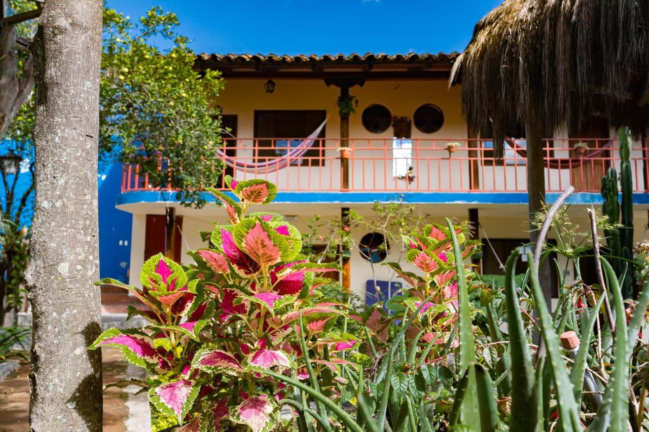 Hostal Jardin Escondido Vilcabamba Extérieur photo