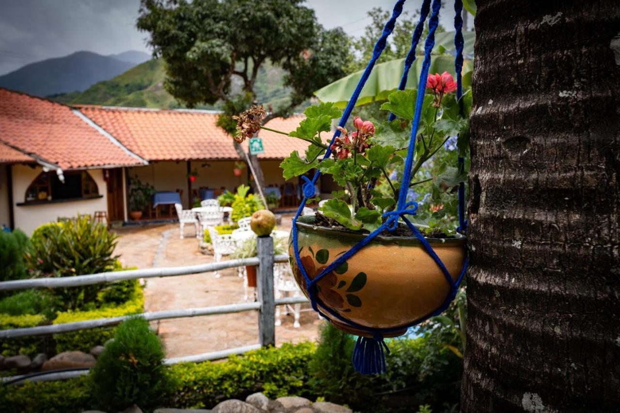 Hostal Jardin Escondido Vilcabamba Extérieur photo